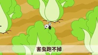 国产小青蛙视频在线看,萌动瞬间，在线观看的治愈之旅