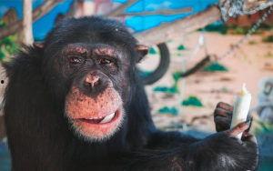 国产免费又刺激又爽视频,刺激体验，畅快淋漓！